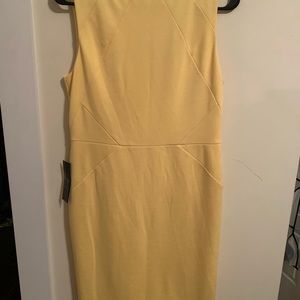The Limited Yellow Dress